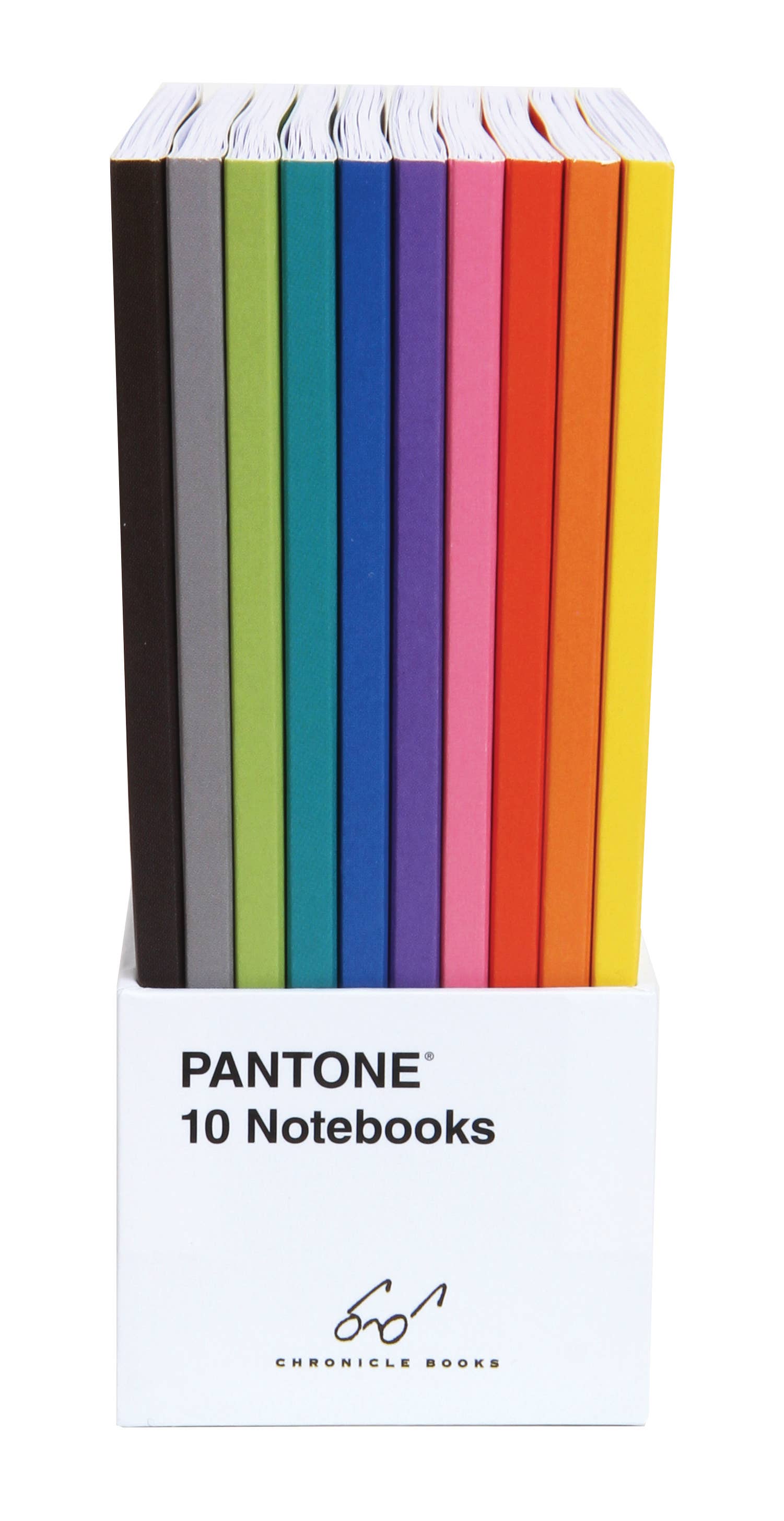 Pantone 10 Notebook Set in vibrant rainbow colors, perfect for planners and creative journaling