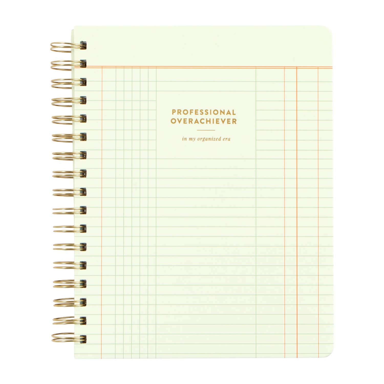 Notebook with grid pattern and 'Professional Overachiever' text on a white background